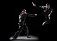 Karate Flieger echt-beschnitten